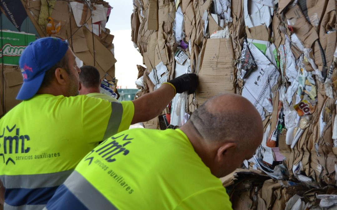 Compromiso con la diversidad y la igualdad de oportunidades: una apuesta que transforma tu empresa